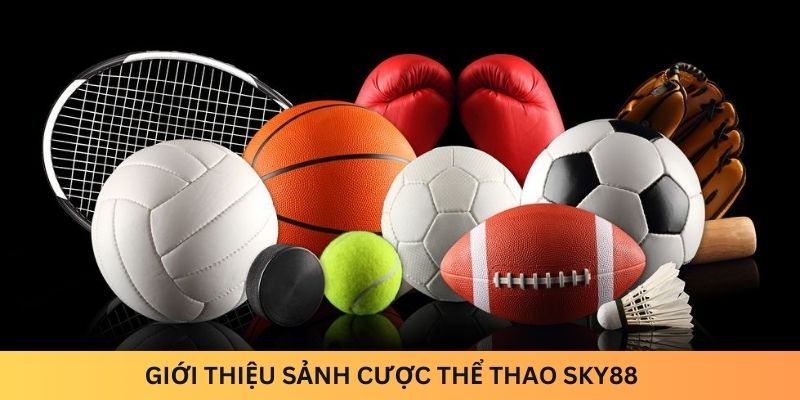 Giới thiệu sảnh cược Thể thao Sky88