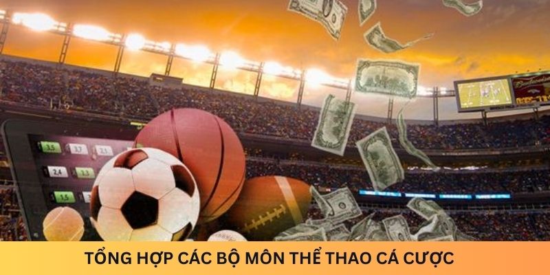 Tổng hợp các môn cá cược Thể thao tại Sky88