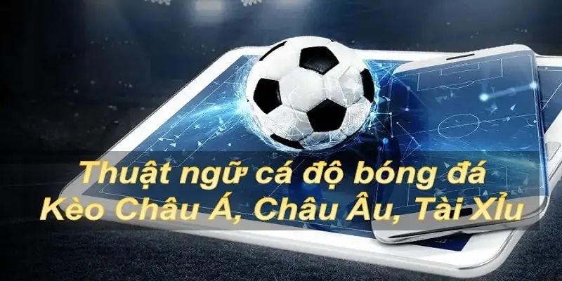 Thuật ngữ thường xuyên sử dụng trong cá kèo bóng đá