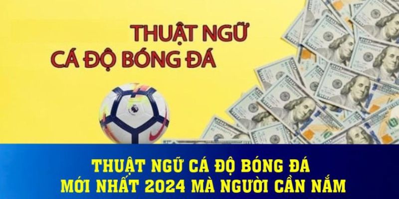 Hiểu cơ bản nhất về thuật ngữ cá độ bóng đá?