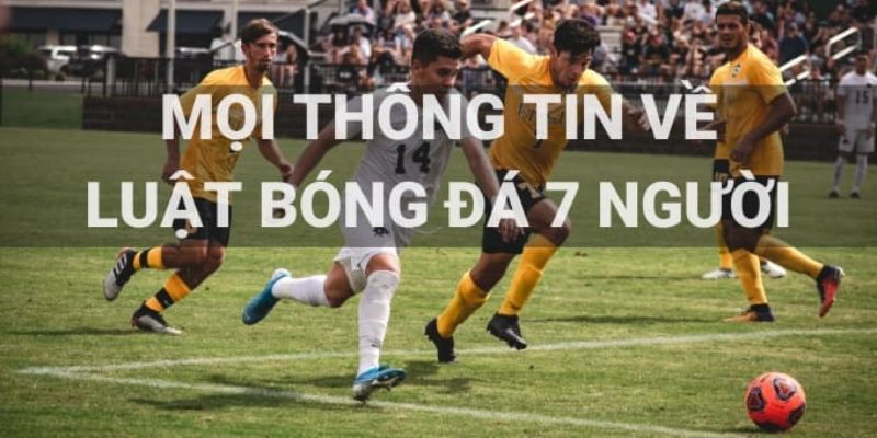 Luật bóng đá 7 người quan trọng cho người mới chơi