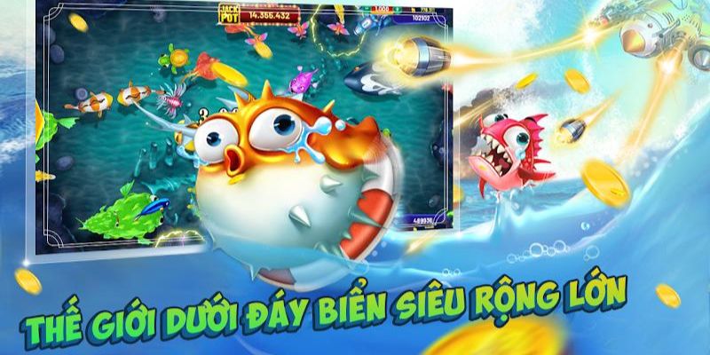 Hé lộ kinh nghiệm săn ngư ăn thưởng cực khủng cho newbie