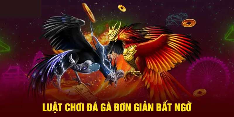 Chia sẻ bí quyết chọn chiến kê săn thưởng siêu đỉnh