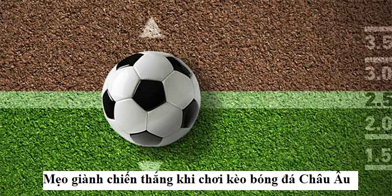 Phân tích các thông tin đội bóng