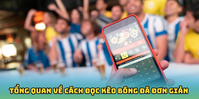 Tổng quan về cách đọc kèo bóng đá đơn giản