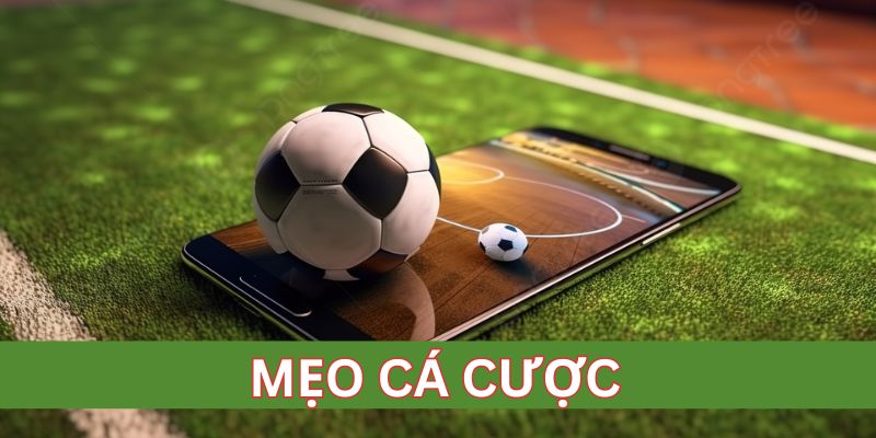 Cách chơi hiệu quả nhờ mẹo cá cược thực chiến