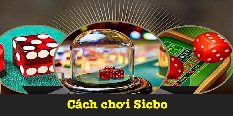 Mẹo chơi Sicbo hiệu quả