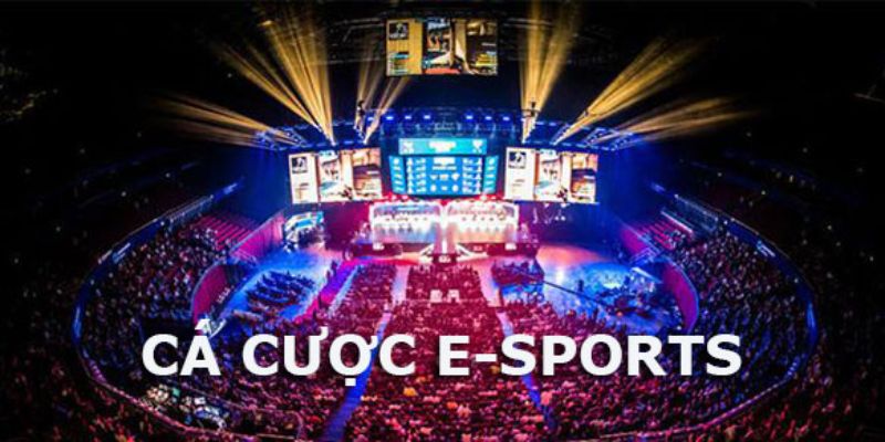 Vì sao cá cược esports trở thành xu hướng toàn cầu?
