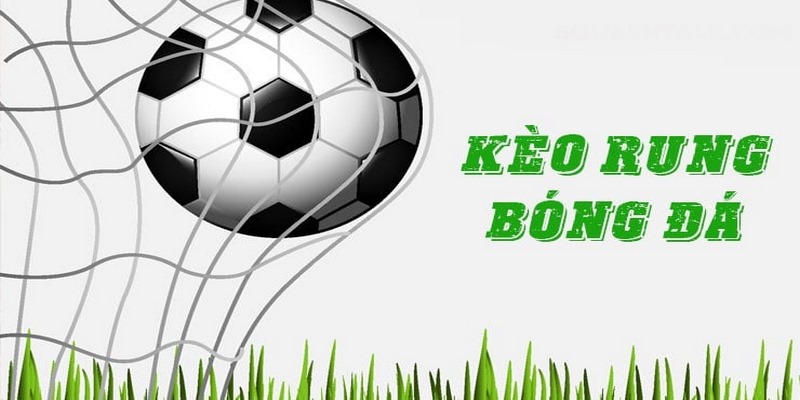 Cách tính tiền cá cược kèo rung các cược thủ
