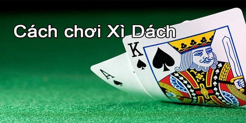 Cách chơi xì dách cơ bản nhất