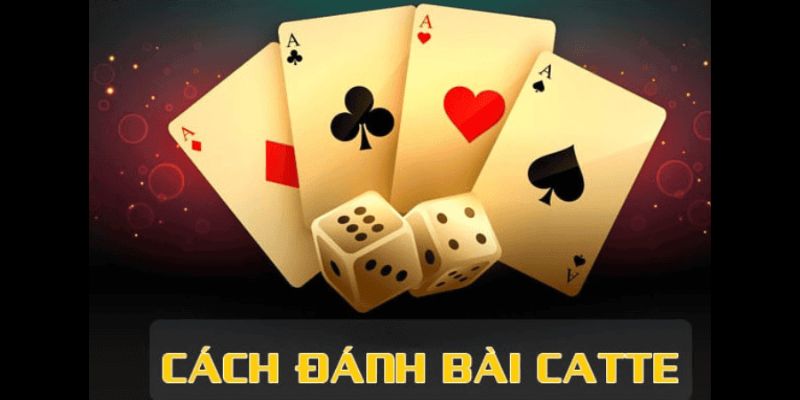Bí quyết chơi Catte thắng lợi vẻ vang