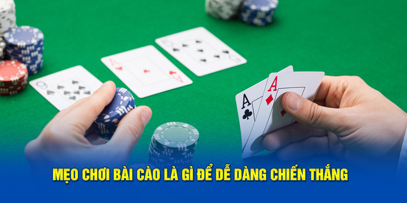 Mẹo chơi bài cào tố từ cao thủ 