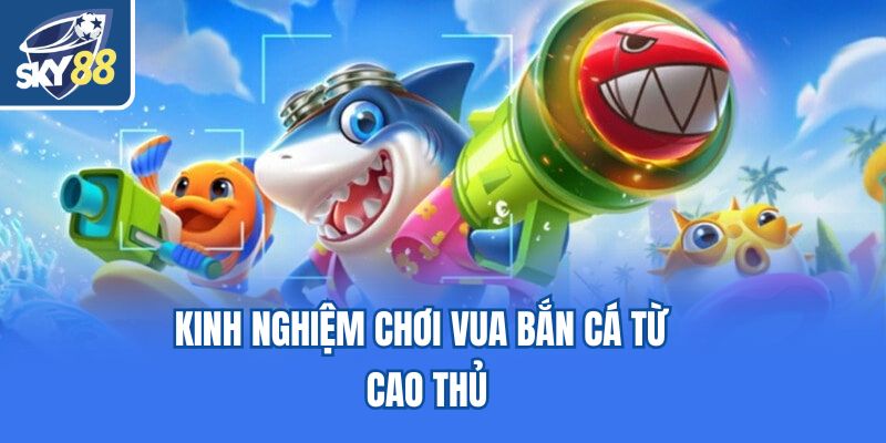 Kinh nghiệm chơi Vua Bắn Cá từ cao thủ