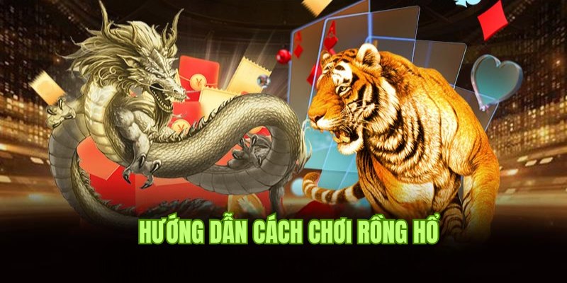 Cách Chơi Rồng Hổ - Bật Mí Tips Săn Thưởng Từ Cao Thủ Sky88