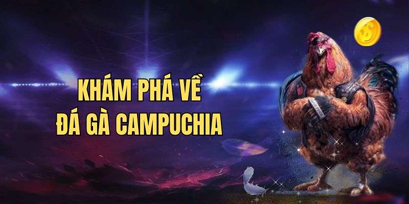 Đá Gà Campuchia - Khám Phá Hình Thức Giải Trí Kịch Tính Nhất