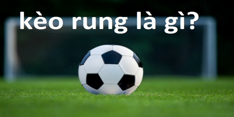 Kiến Thức Cá Cược Kèo Rung Và Kinh Nghiệm Đặt Kèo Cần Biết
