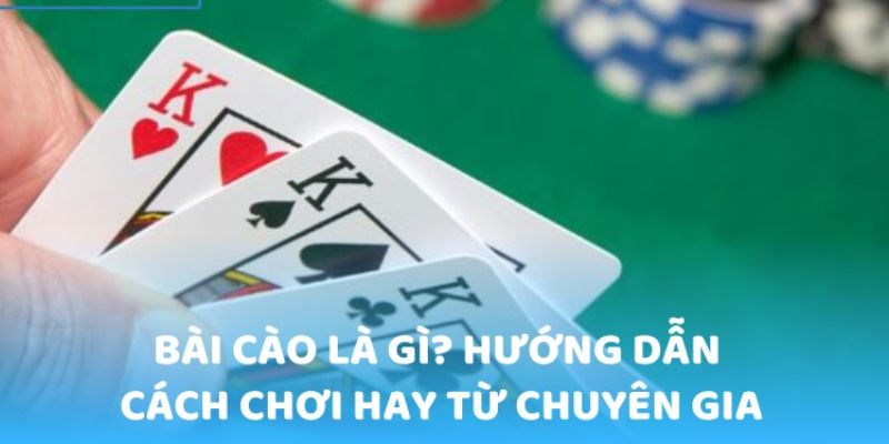 Bài Cào Tố Là Gì - Những Bật Mí Đầy Đủ Nhất Cho Tân Binh