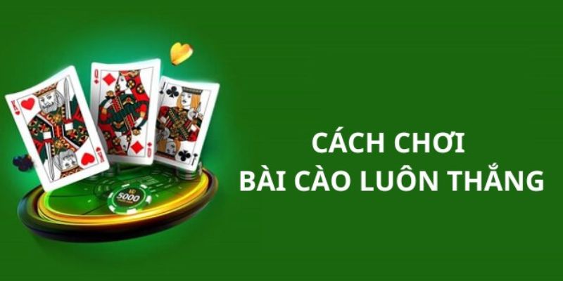 Cách Chia Bài Cào 9 Nút Đơn Giản, Dễ Dàng Cho Người Mới