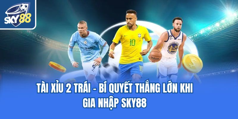 Tài Xỉu 2 Trái - Bí Quyết Thắng Lớn Khi Gia Nhập Sky88