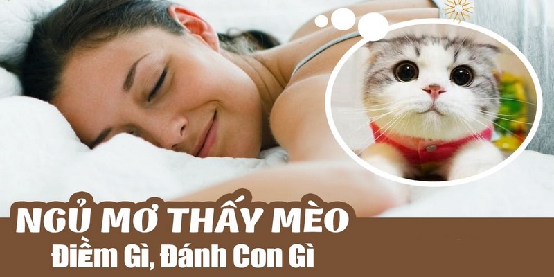 Mơ thấy mèo nên đánh số nào để ăn lô trúng lớn