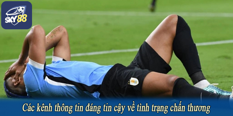 Các kênh thông tin đáng tin cậy về tình trạng chấn thương