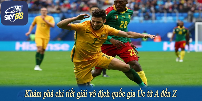 Khám phá chi tiết giải vô địch quốc gia Úc từ A đến Z