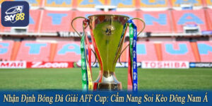 Nhận định bóng đá giải AFF Cup