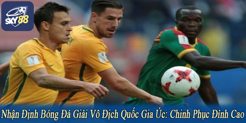 nhận định bóng đá giải vô địch quốc gia Úc
