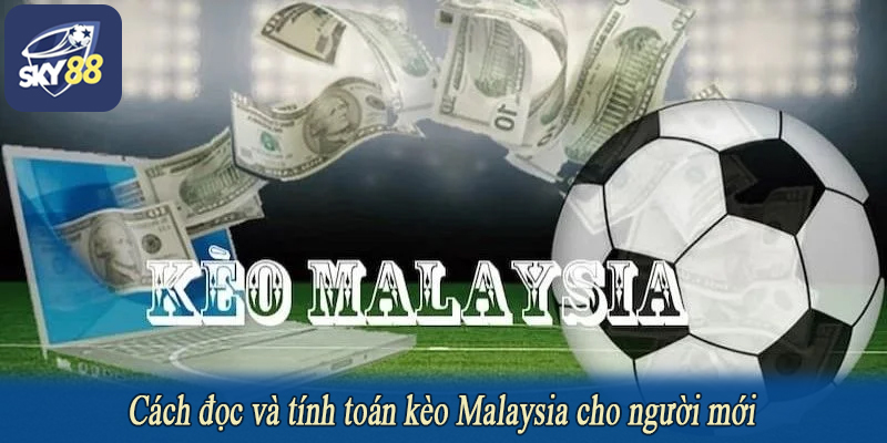 Cách đọc và tính toán kèo Malaysia cho người mới