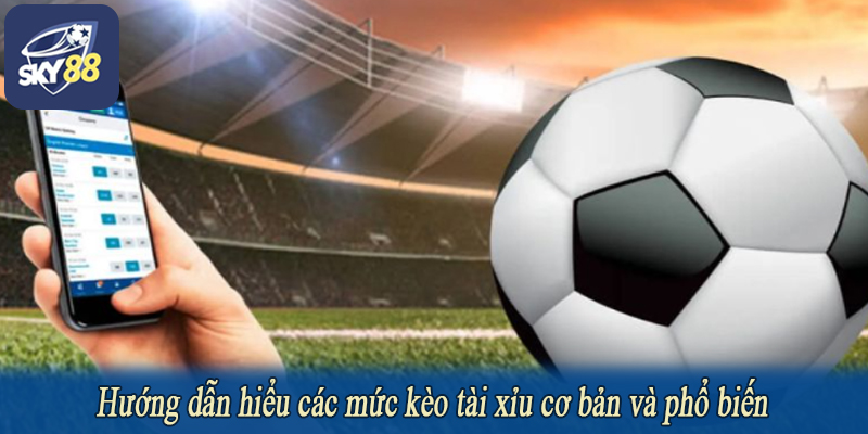 Hướng dẫn hiểu các mức kèo tài xỉu cơ bản và phổ biến