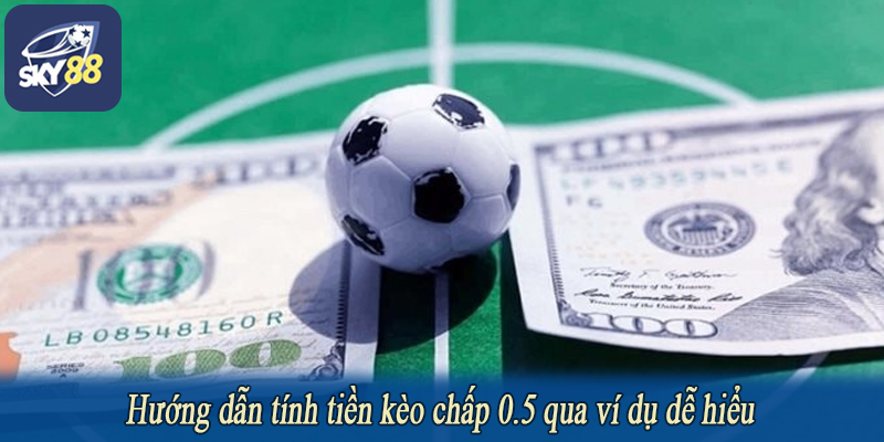 Hướng dẫn tính tiền kèo chấp 0.5 qua ví dụ dễ hiểu