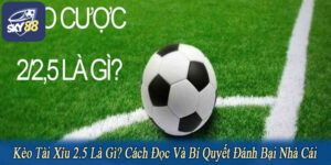 kèo tài xỉu 2.5 là gì