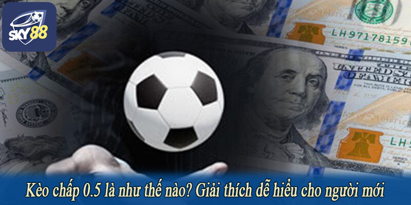 Kèo chấp 0.5 là như thế nào? Giải thích dễ hiểu cho người mới