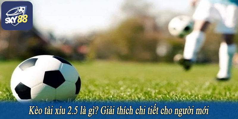 Kèo tài xỉu 2.5 là gì? Giải thích chi tiết cho người mới
