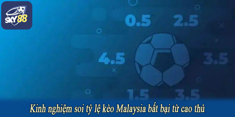 Kinh nghiệm soi tỷ lệ kèo Malaysia bất bại từ cao thủ
