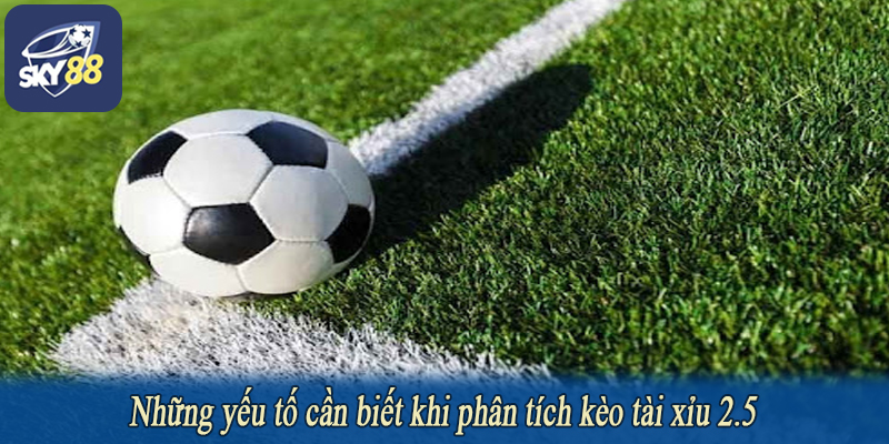 Những yếu tố cần biết khi phân tích kèo tài xỉu 2.5