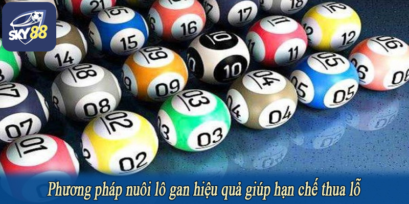 Phương pháp nuôi lô gan hiệu quả giúp hạn chế thua lỗ