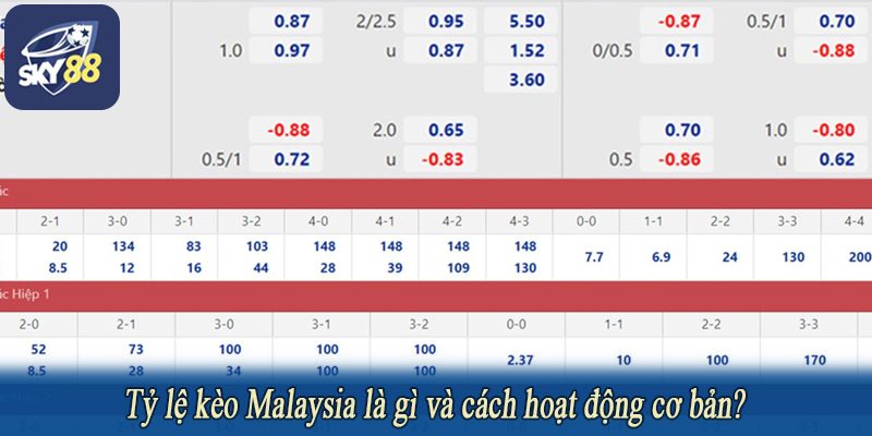 Tỷ lệ kèo Malaysia là gì và cách hoạt động cơ bản?