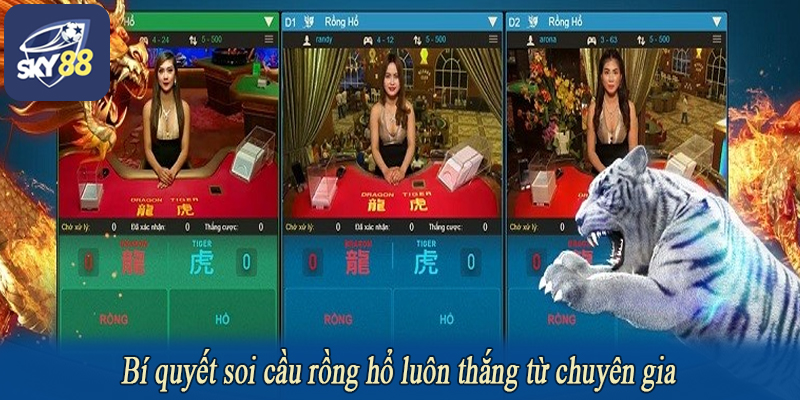 Bí quyết soi cầu rồng hổ luôn thắng từ chuyên gia