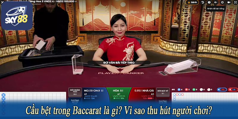 Cầu bệt trong Baccarat là gì? Vì sao thu hút người chơi?