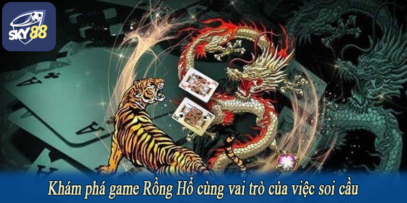 Khám phá game Rồng Hổ cùng vai trò của việc soi cầu