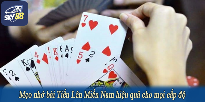 Mẹo nhớ bài Tiến Lên Miền Nam hiệu quả cho mọi cấp độ