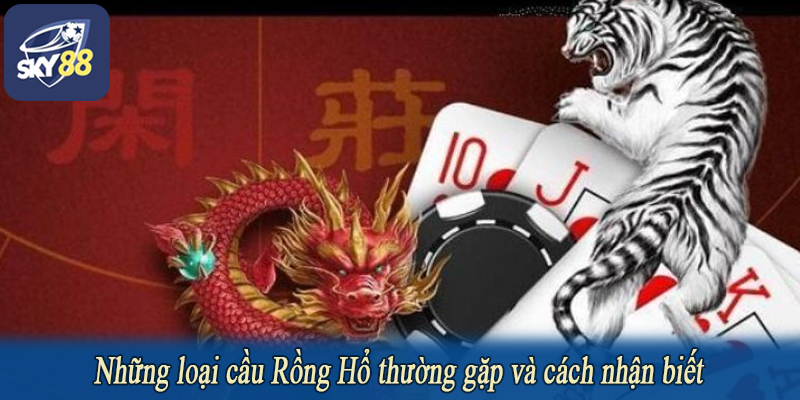 Những loại cầu Rồng Hổ thường gặp và cách nhận biết