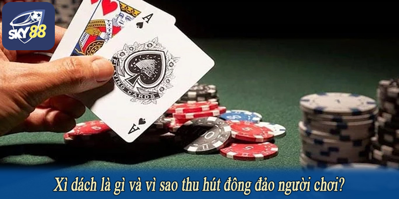 Xì dách là gì và vì sao thu hút đông đảo người chơi?