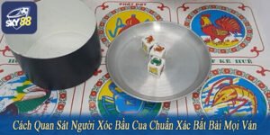 cách quan sát người xóc bầu cua