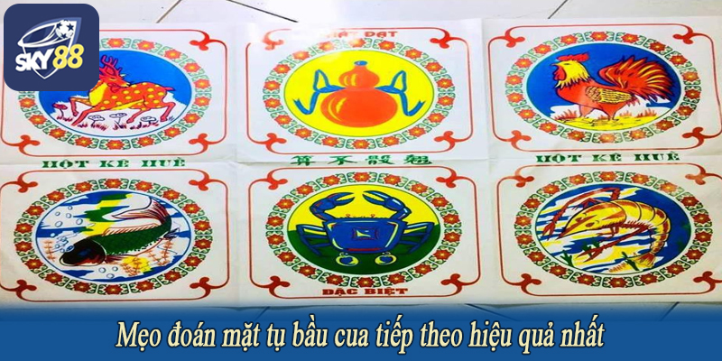 Mẹo đoán mặt tụ bầu cua tiếp theo hiệu quả nhất