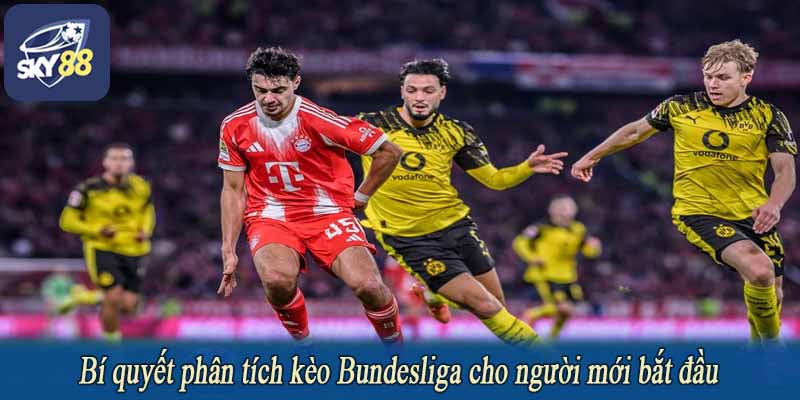 Bí quyết phân tích kèo Bundesliga cho người mới bắt đầu