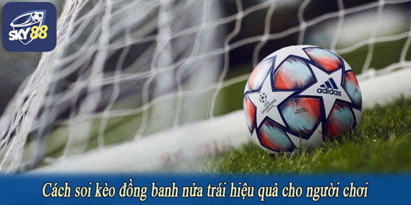 Cách soi kèo đồng banh nửa trái hiệu quả cho người chơi