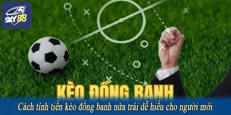 Cách tính tiền kèo đồng banh nửa trái dễ hiểu cho người mới