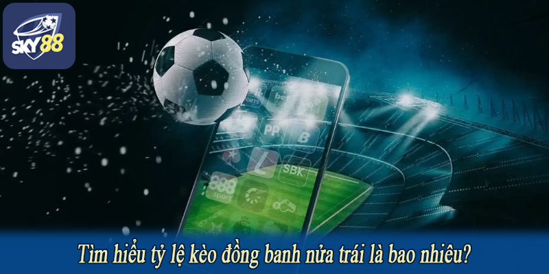 Tìm hiểu tỷ lệ kèo đồng banh nửa trái là bao nhiêu?
